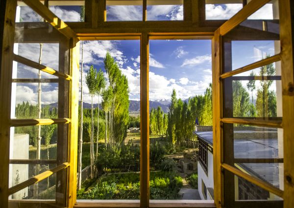 Cost of Wood Window Replacement in Durham